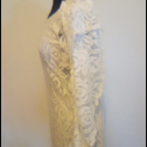 Modern Vintage Boutique coatail Dress - Picture 4 of 6